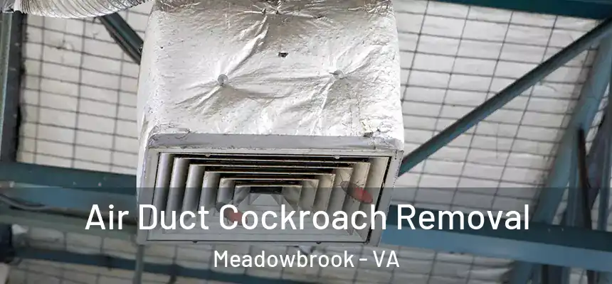  Air Duct Cockroach Removal Meadowbrook - VA
