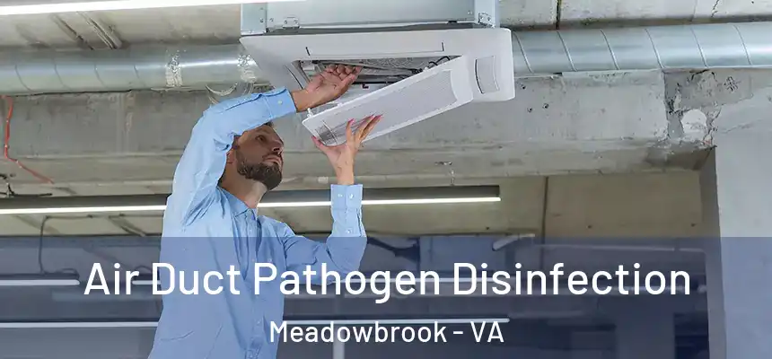  Air Duct Pathogen Disinfection Meadowbrook - VA