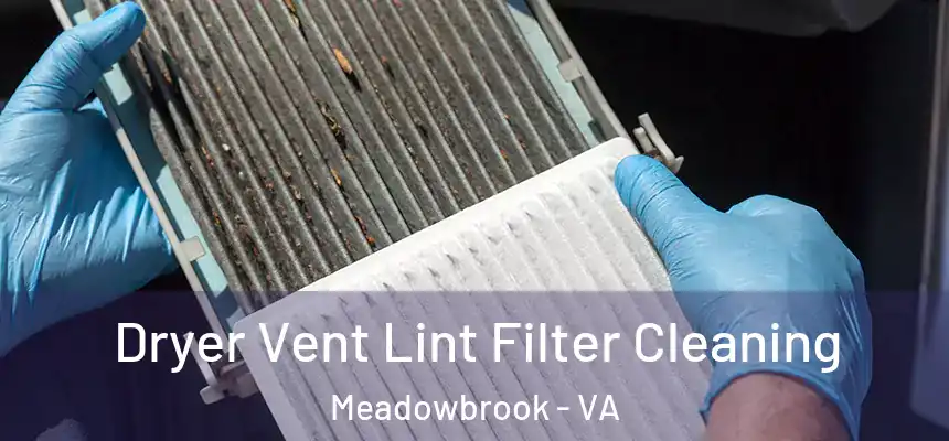  Dryer Vent Lint Filter Cleaning Meadowbrook - VA