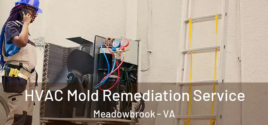  HVAC Mold Remediation Service Meadowbrook - VA