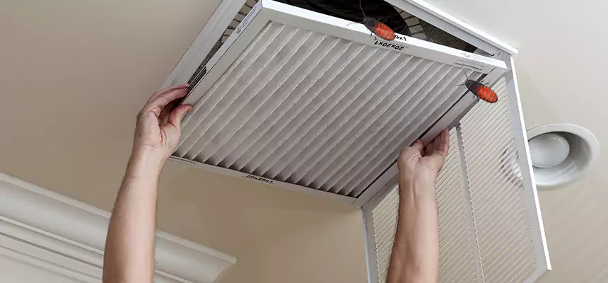 Preventive Cockroach-Proofing for Ducts in Meadowbrook