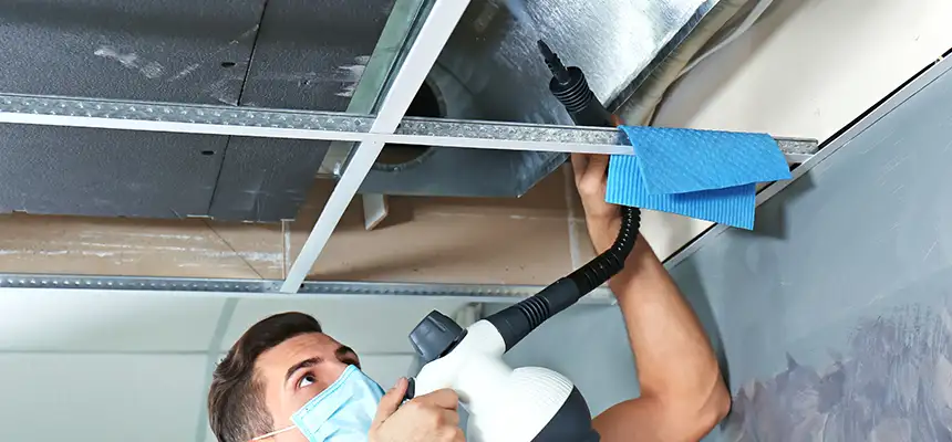 Our Air Duct Rodent Removal Services in Meadowbrook, VA