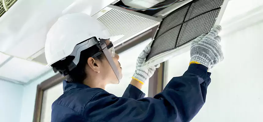 Our Mold & Mildew Removal from Air Ducts Services in Meadowbrook, VA