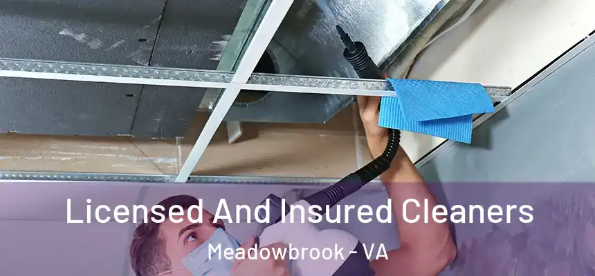  Licensed And Insured Cleaners Meadowbrook - VA