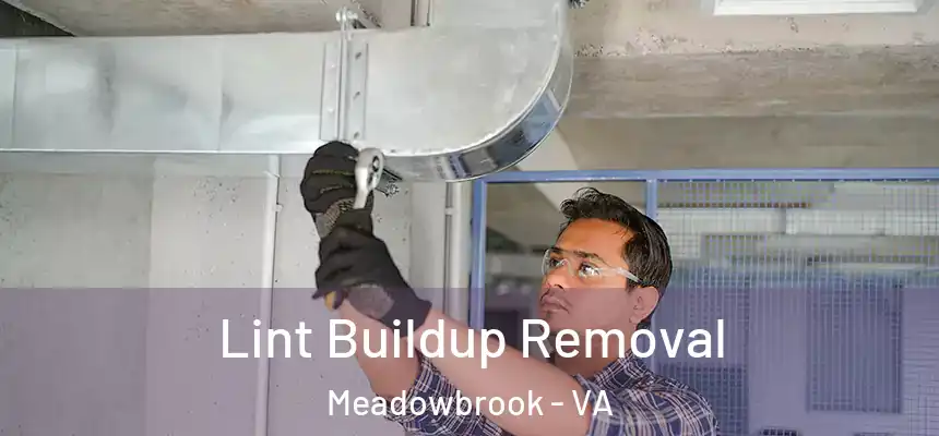  Lint Buildup Removal Meadowbrook - VA
