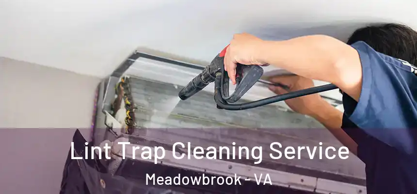  Lint Trap Cleaning Service Meadowbrook - VA