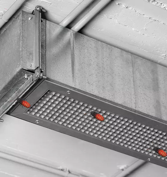 About Air Duct Cockroach Removal in Meadowbrook, VA