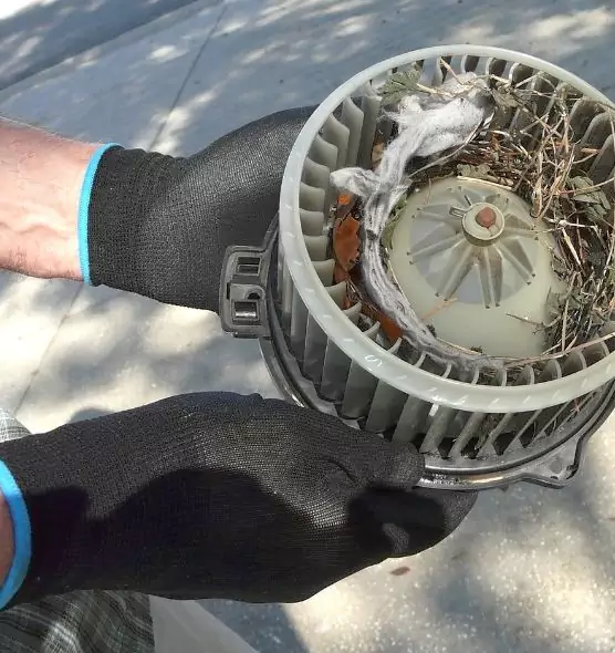 About Air Duct Rat Removal in Meadowbrook, VA