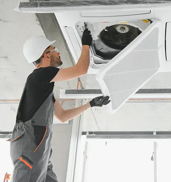 About Air Duct Rodent Removal in Meadowbrook, VA