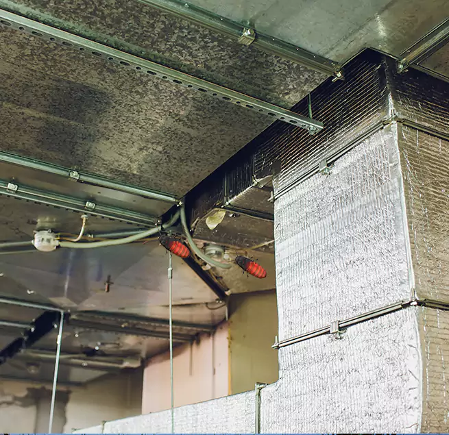 Why Homeowners & Businesses Trust Us in Meadowbrook, VA?