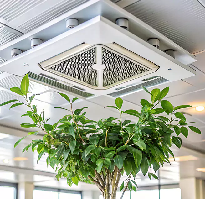 Why Homeowners & Businesses Trust Us in Meadowbrook, VA?