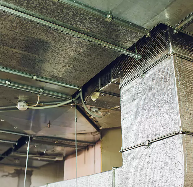 Why Homeowners & Businesses Trust Us in Meadowbrook, VA?